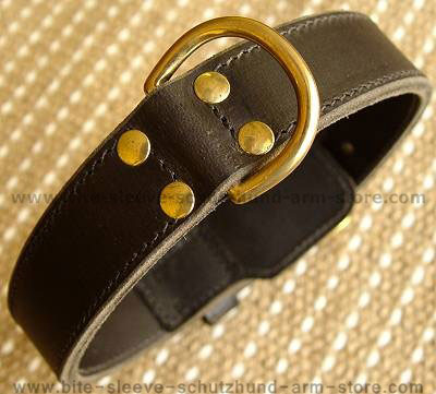 dog collar