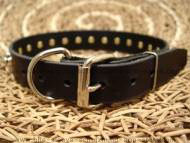 spiked dog collar for german-shepherd