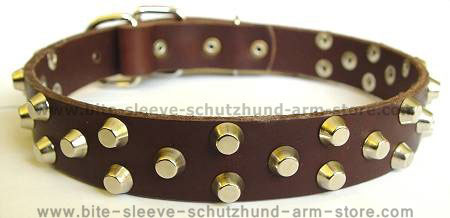 best leather dog collar 
