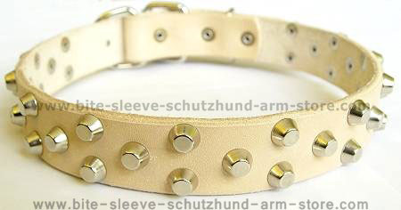 dog collar for walking