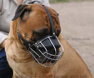 Wire Basket dog muzzle Wire Basket dog muzzle